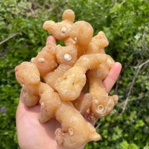 【推荐】九华山黄精干九华制统货规模大品质好