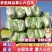 夏邑白菜精品黄心白菜大量上市中产地直供量大从优欢迎联系