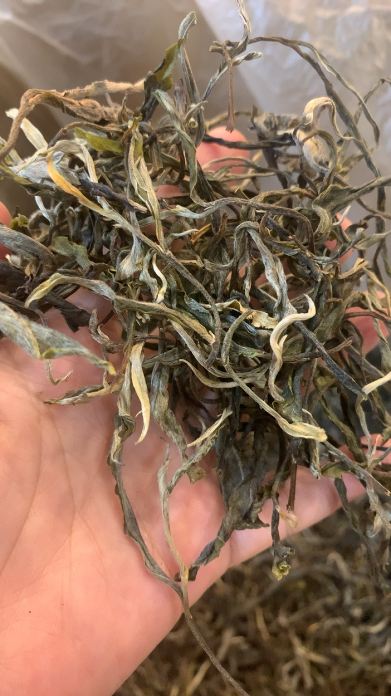 2022年老班章古树（只有20斤）普洱茶散茶支持加工
