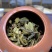 支持定制2022年昔归普洱茶生茶饼357克