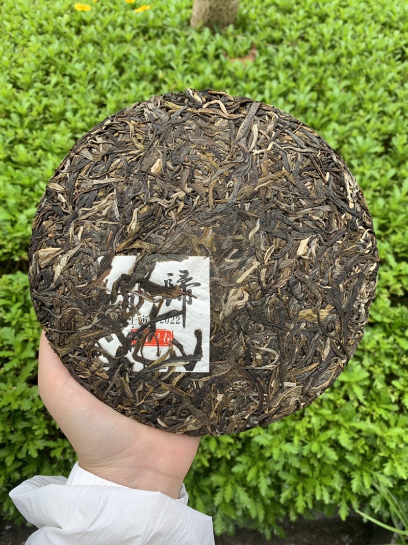 支持定制2022年昔归普洱茶生茶饼357克