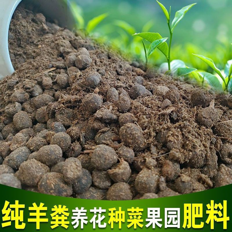 天然羊粪
