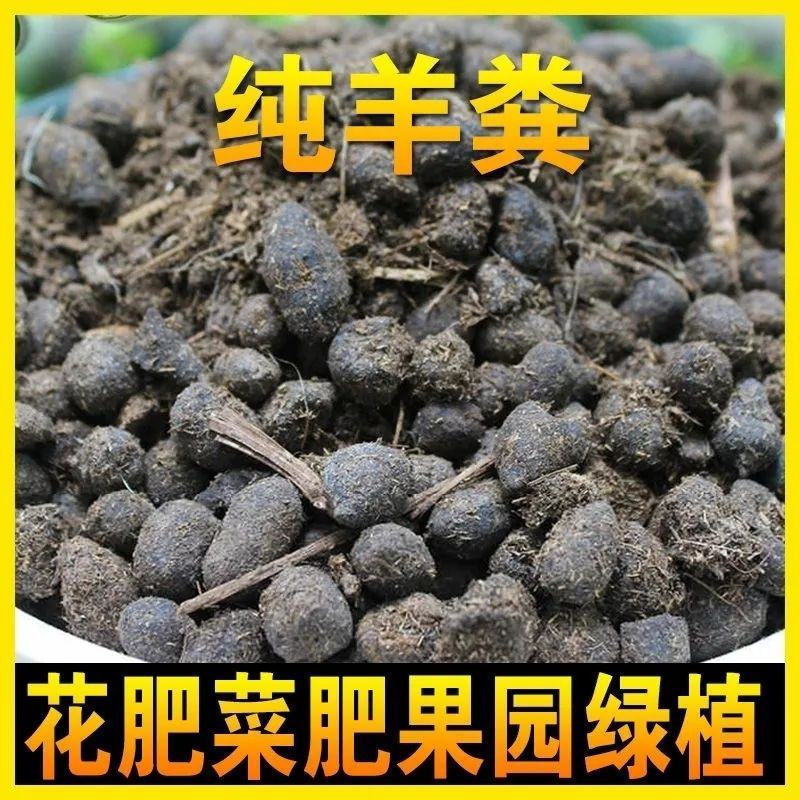 天然羊粪