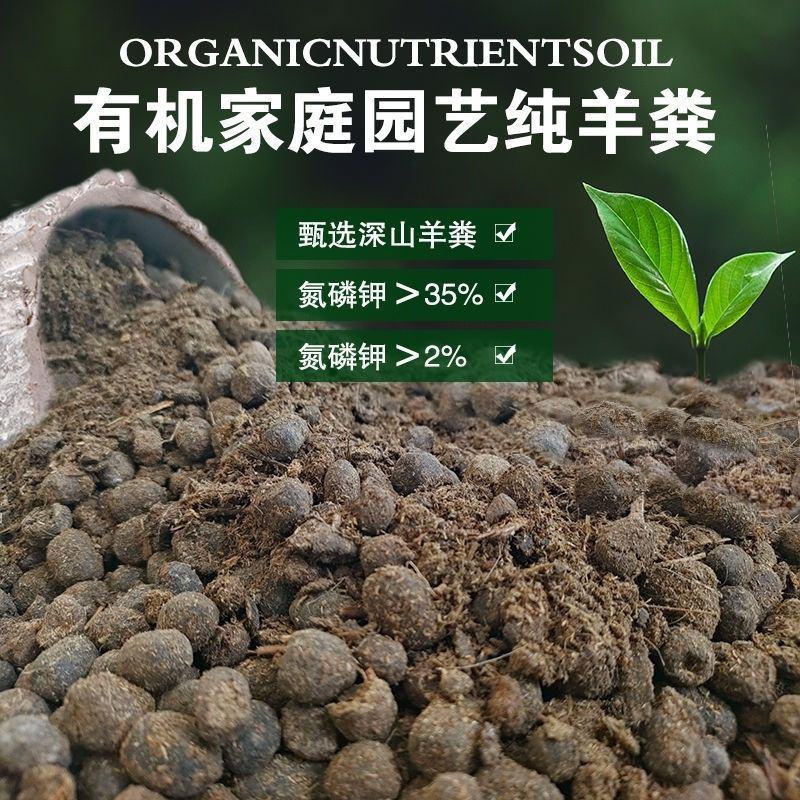 天然羊粪