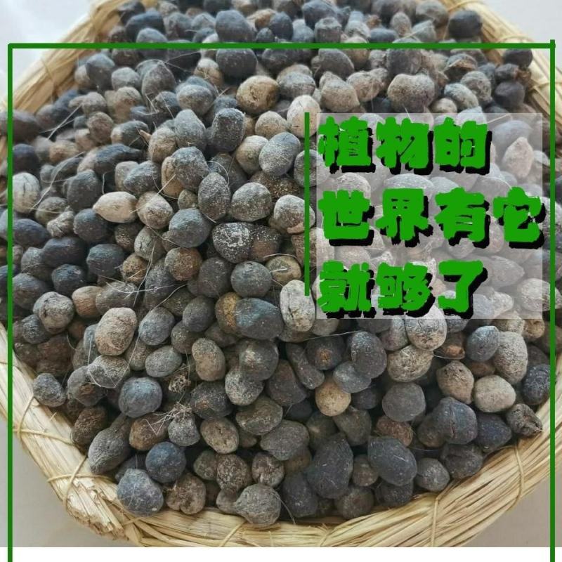 天然羊粪