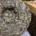 支持定制2022年困鹿山普洱茶生茶饼200克