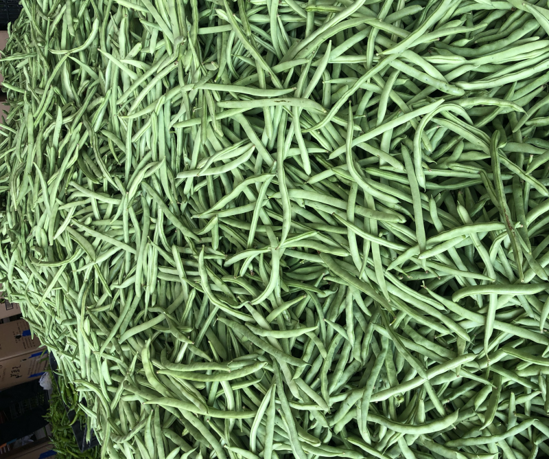 四季豆大量上市降价