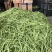 四季豆大量上市降价