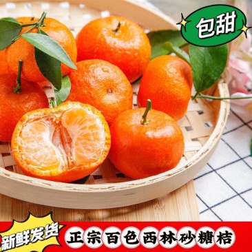 正宗西林砂糖橘