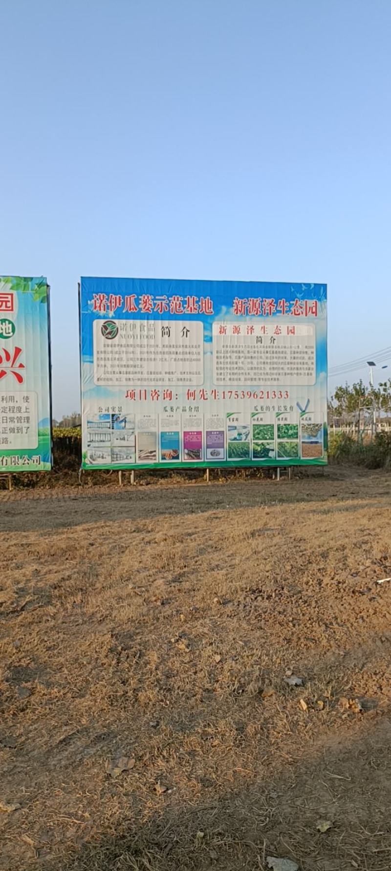 瓜蒌9号，20号