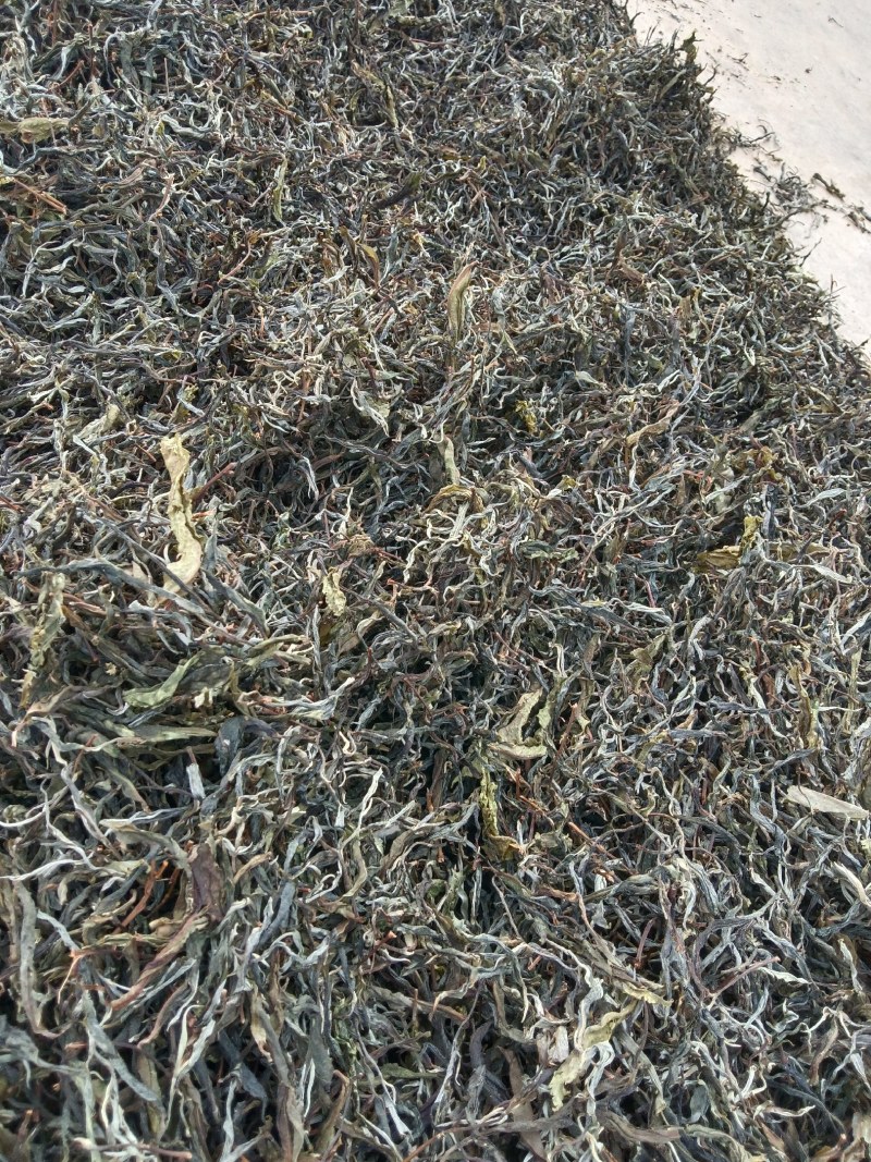 茶叶