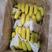 精品香蕉。各种高中低档香蕉，直供超市，电商，微商，批发商