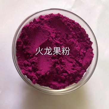 火龙果