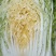 黄心菜大白菜，产地直发，货源充足！可供货各大批发市场，超