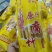 无淀粉黄豆干腐竹，超市促销装