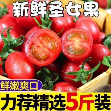 新店冲量广西千禧圣女果对接社区团购电商一件代发市场批发等