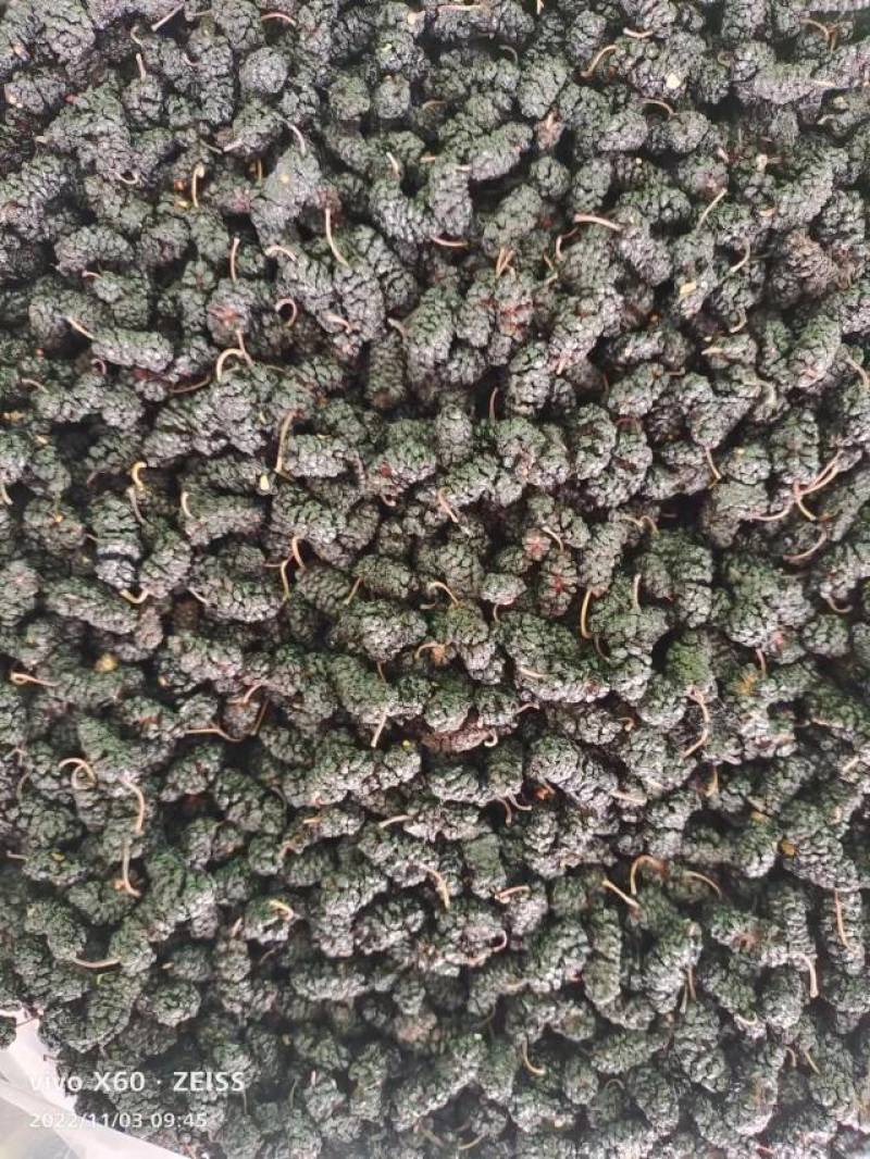 河北沧州桑椹干大量批发，产地直发，品质保障，支持电商，