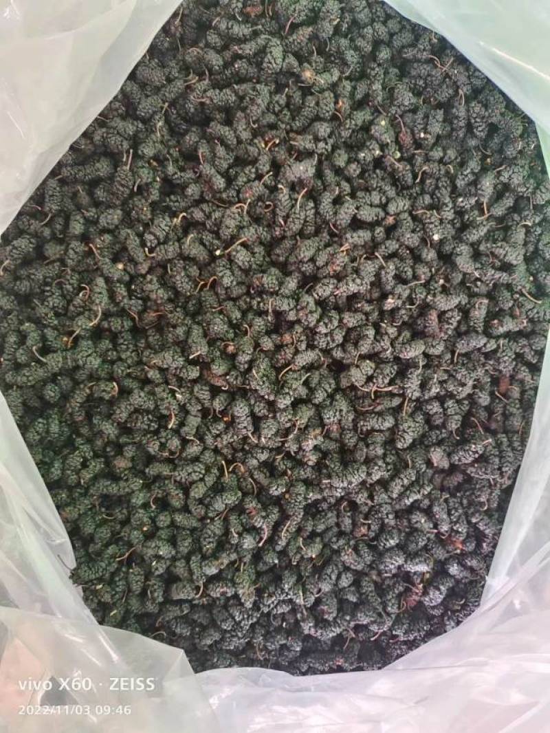 河北沧州桑椹干大量批发，产地直发，品质保障，支持电商，