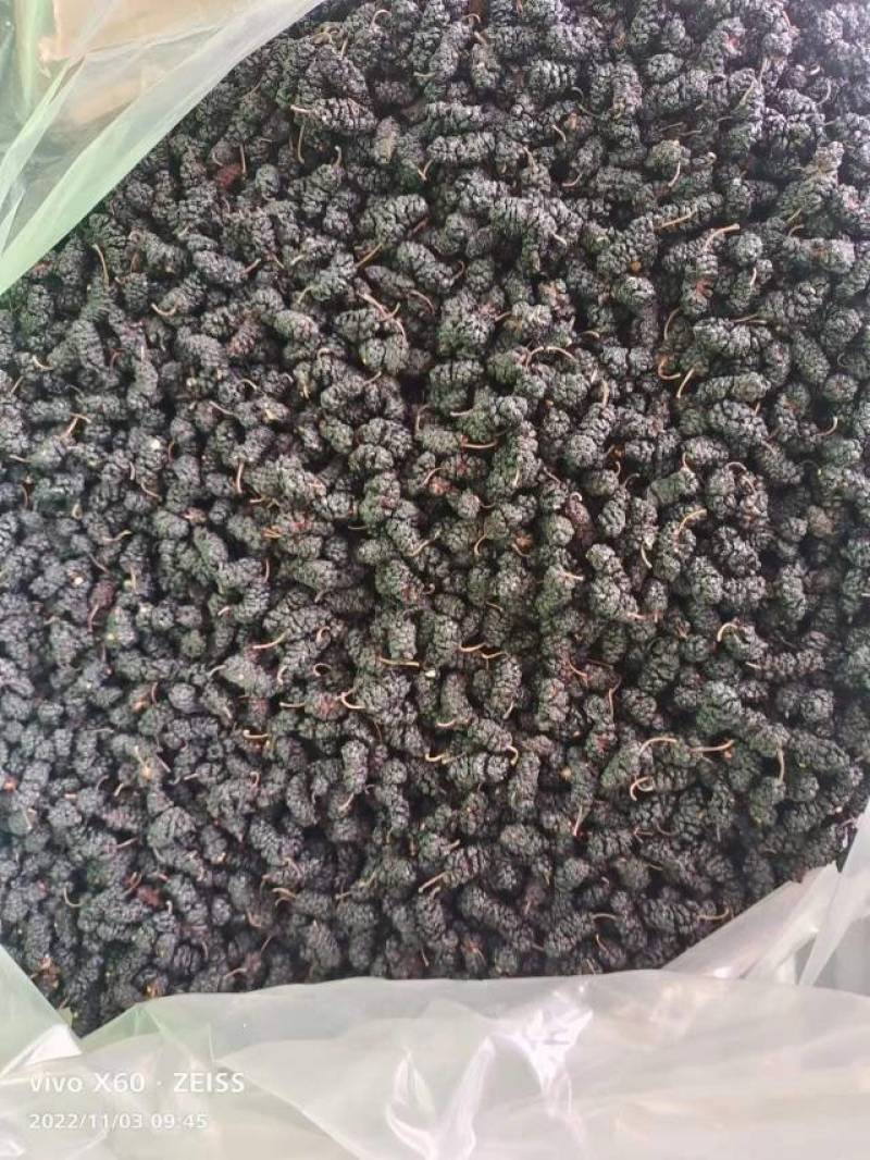 河北沧州桑椹干大量批发，产地直发，品质保障，支持电商，