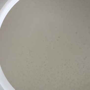 【牛商店铺】广东佛山三水区水牛奶乳扇大量供应