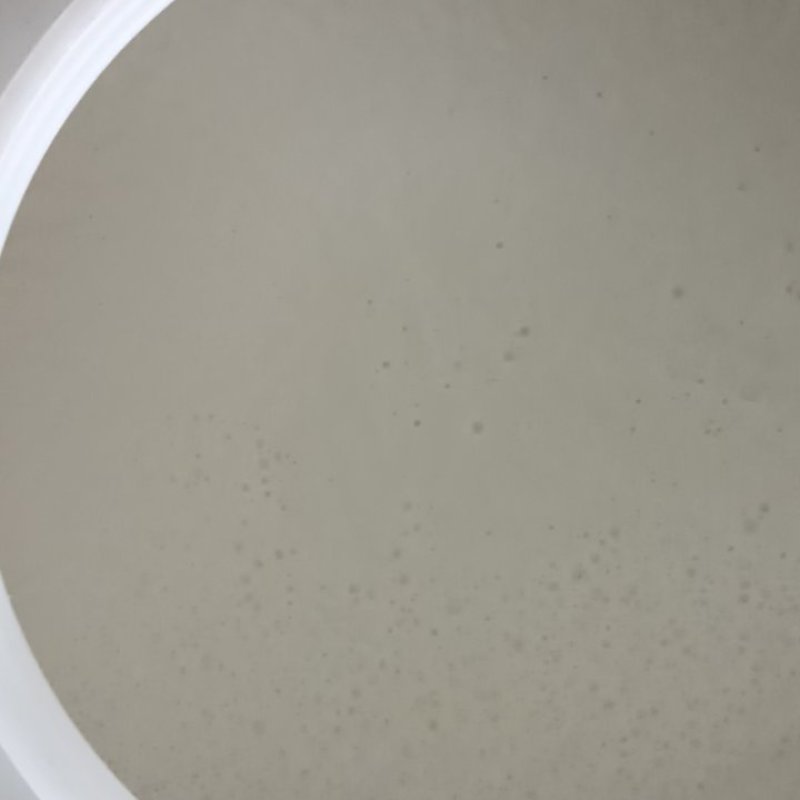 【牛商店铺】广东佛山三水区水牛奶乳扇大量供应