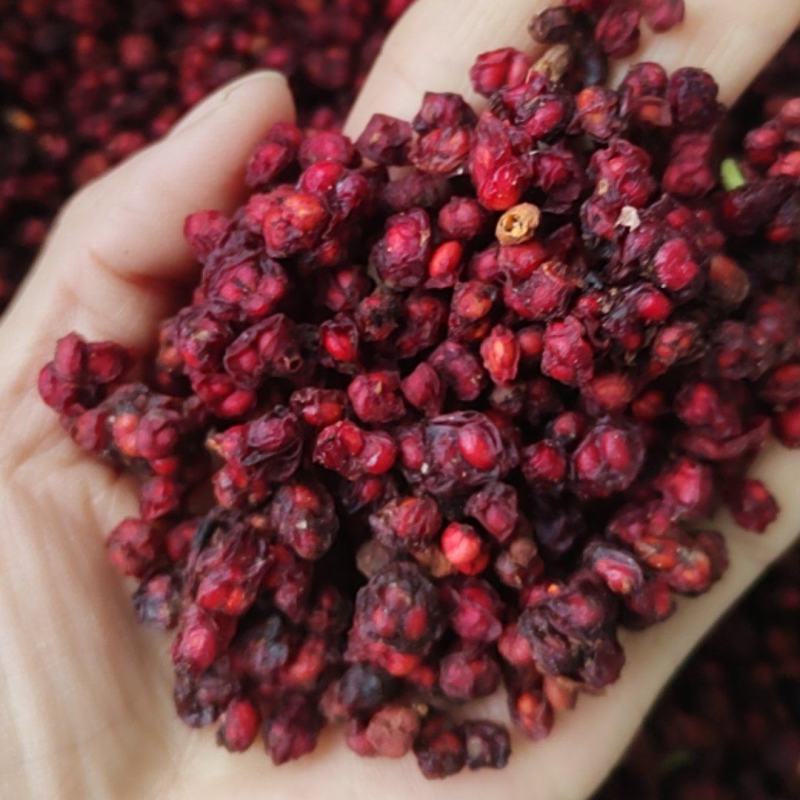 五味子
