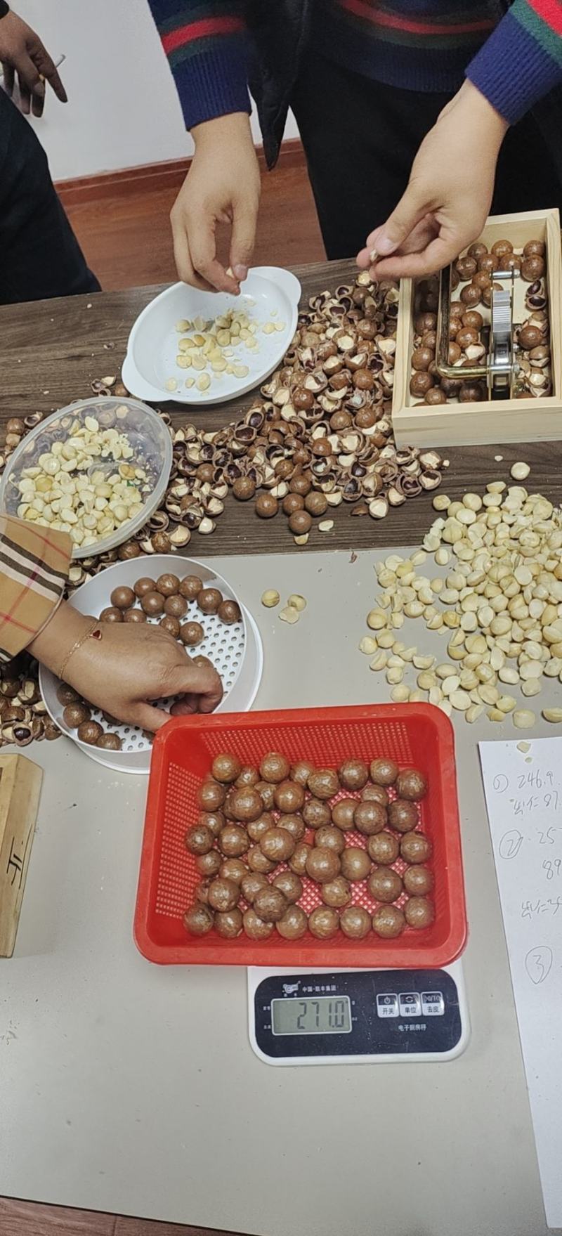 云南国产夏威夷果电商，各种规格各种规格电商批发市场，
