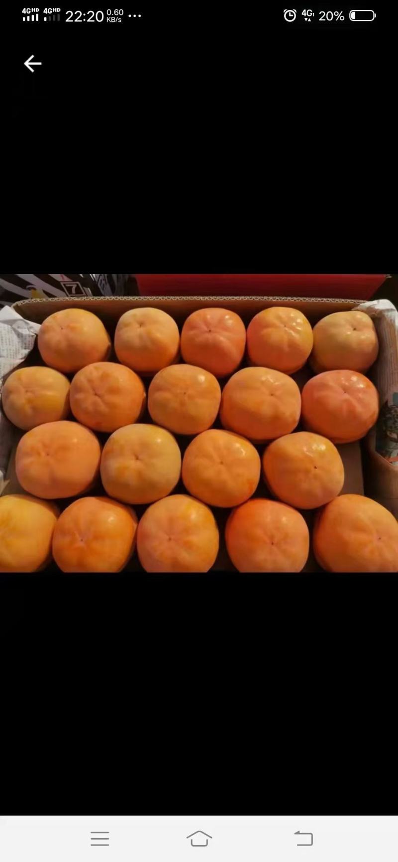 蓟州，蓟县大柿子