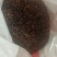 野生的山茶籽，中小米子