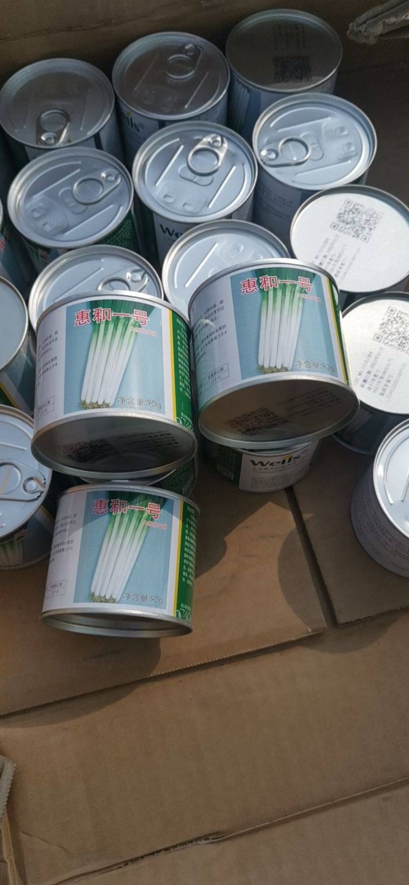 河南精品惠和一号，钢葱，小叶，全国代发可视频看货