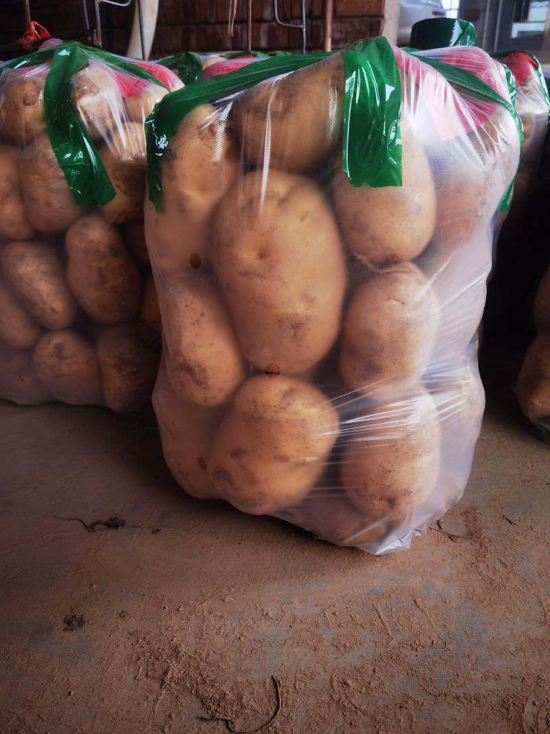高原夏菜大量有货，品种齐全，支持配车