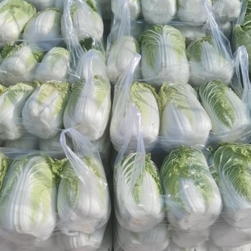 精品娃娃菜