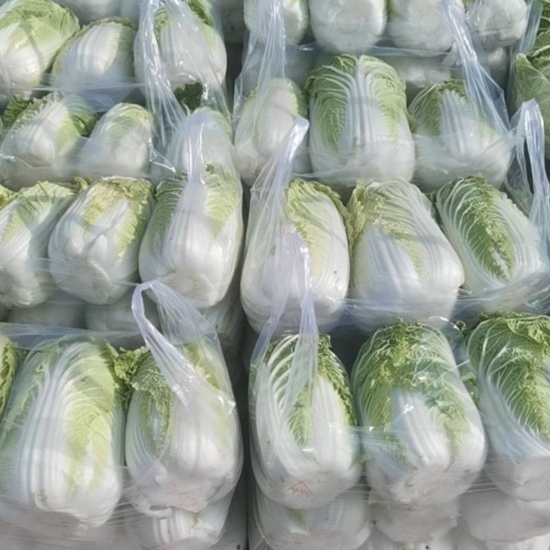 精品娃娃菜