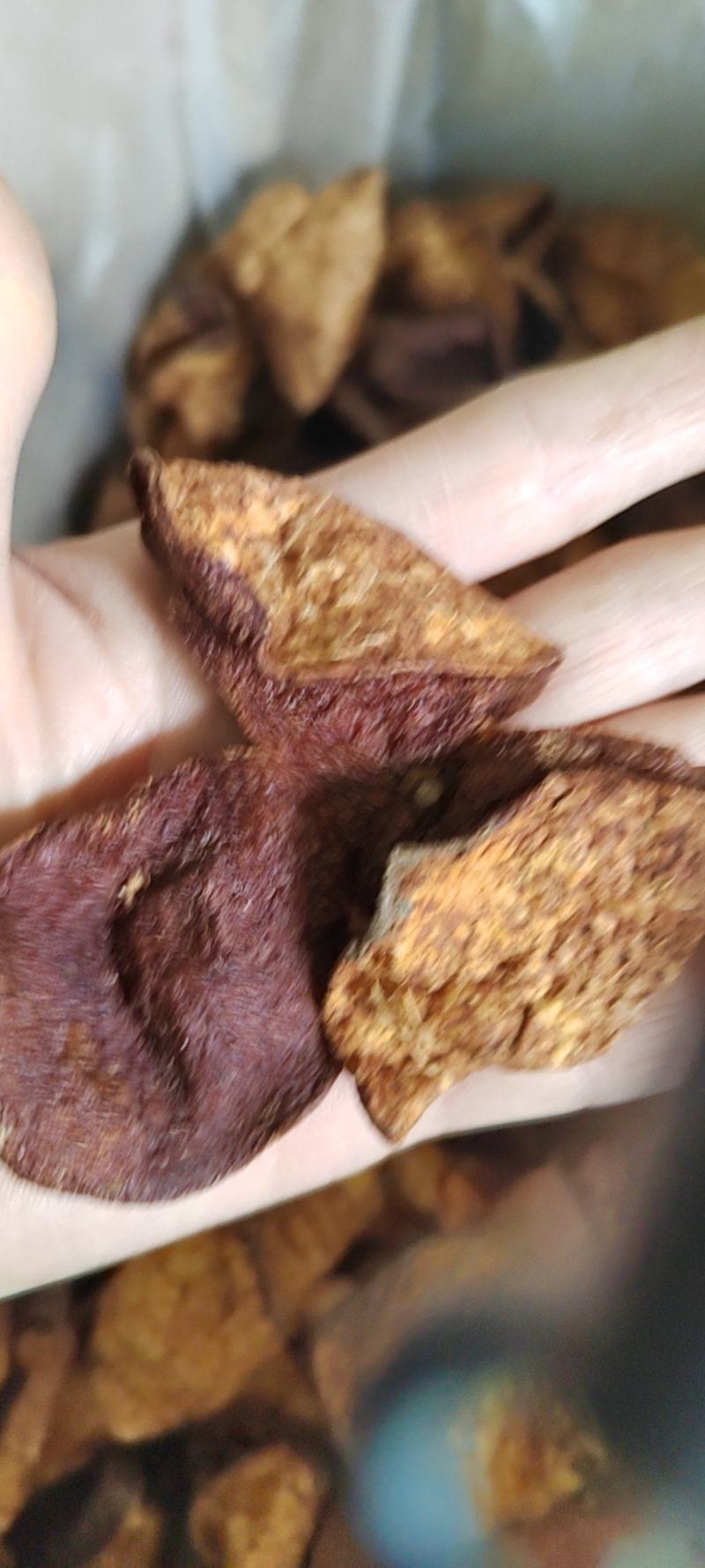 陈皮