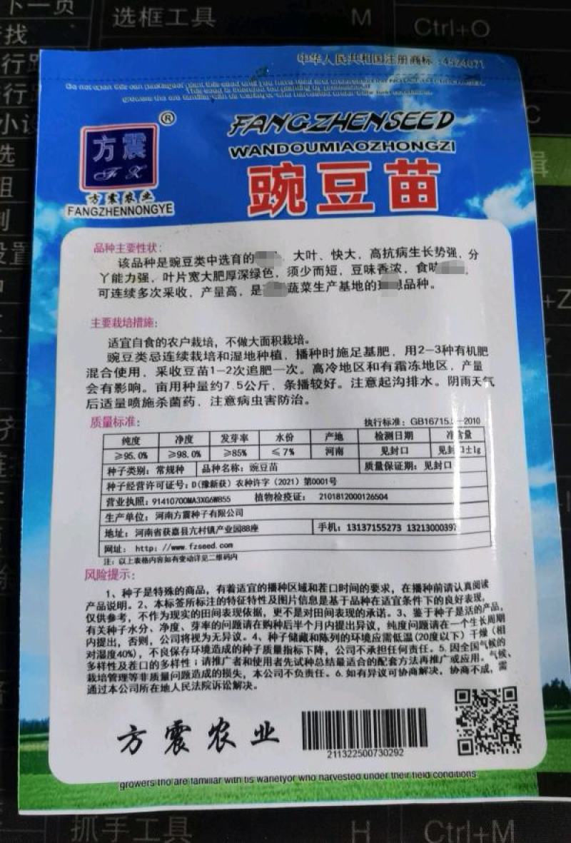 豌豆苗种子豌豆尖种子芦笋黄花菜芝麻菜菊苣菜特菜种子