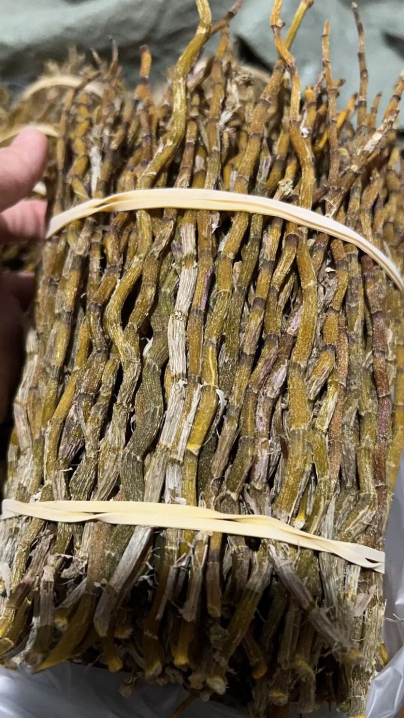 浙江精选铁皮枫斗，霍山石斛渣少胶多，大量批发