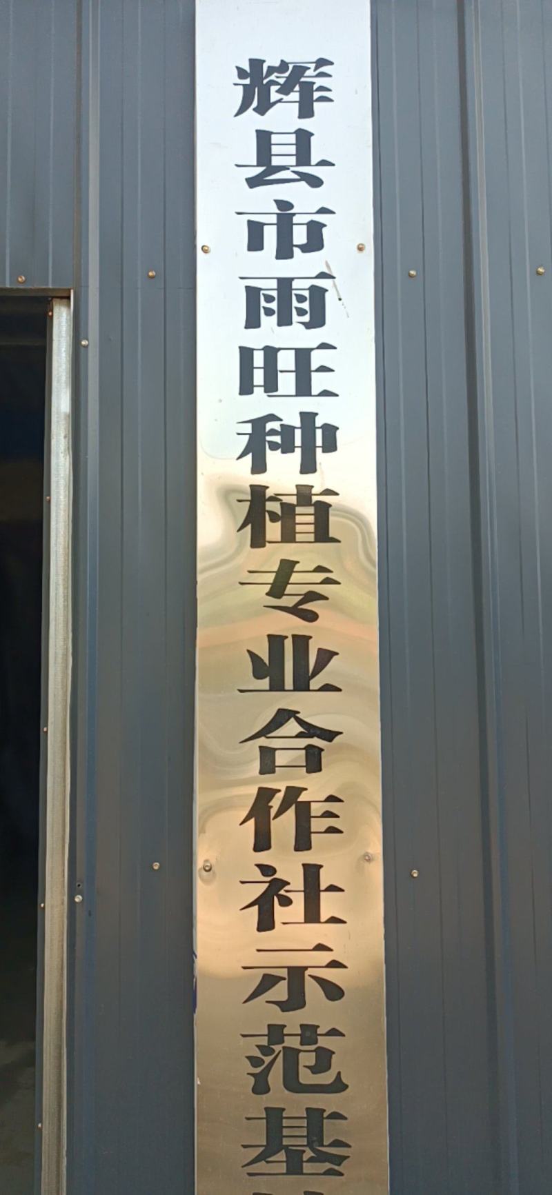 雨旺芽苗菜，全国供货，技术教学。