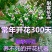 浓香型铃兰花苗帯芽花卉绿植室内阳台多年生耐寒植物好养四季