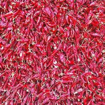 大量出售山西忻州北京红干椒，干度9成，质量一级