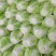 大白菜