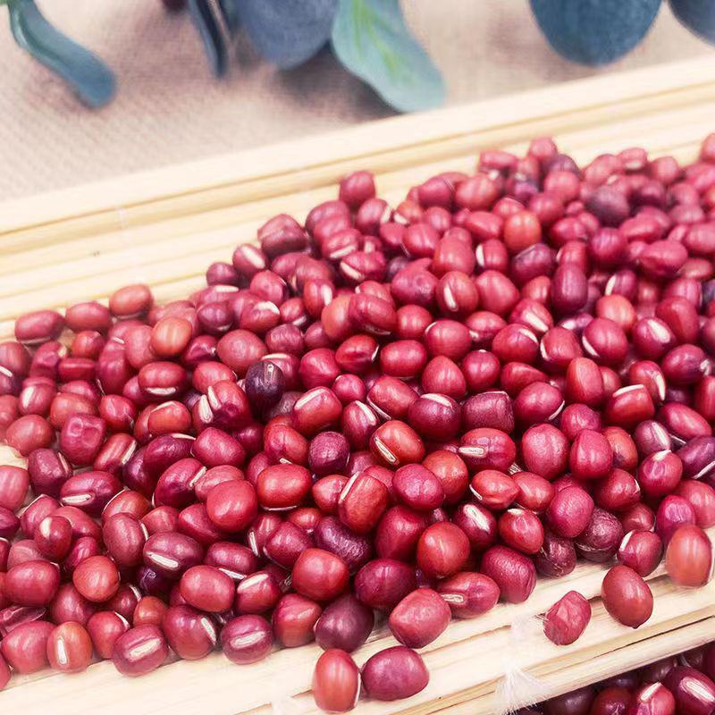 【红小豆】东北红豆红小豆10斤袋装非转基因红小豆包邮
