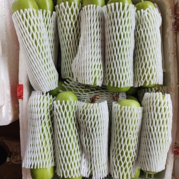 广东瓠瓜新鲜蔬菜瓠瓜夜开花葫芦瓜蒲瓜农家露天种植现摘现发