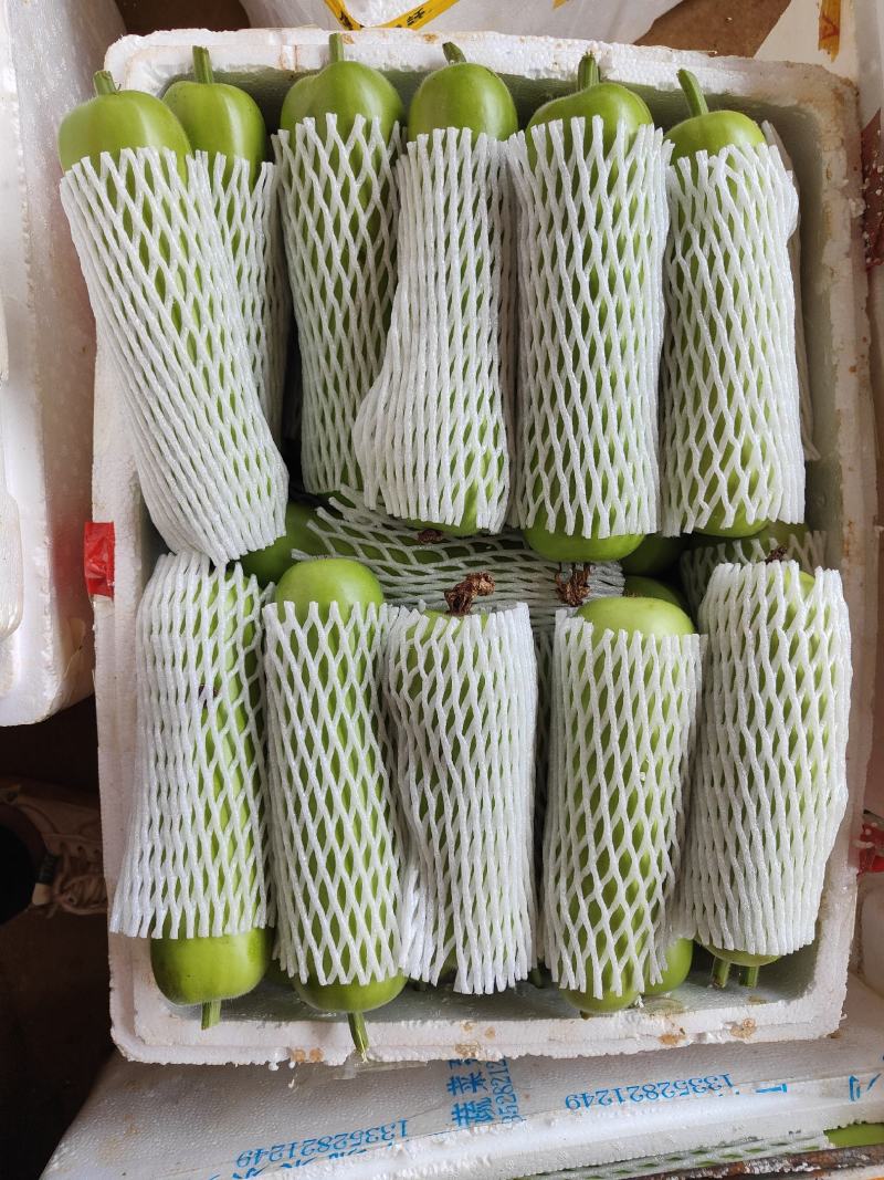 广东瓠瓜新鲜蔬菜瓠瓜夜开花葫芦瓜蒲瓜农家露天种植现摘现发