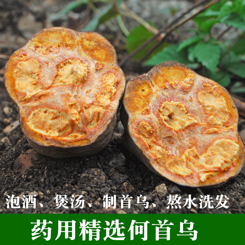 新鲜大何首乌新鲜采挖个头大高含量供应欢迎老板考察