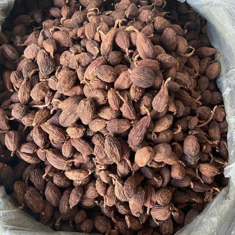 草果云南草果无添加产地直发量大从优常年供应。