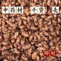 优质蝉蜕量大从优常年供应欢迎老板考察长期供货