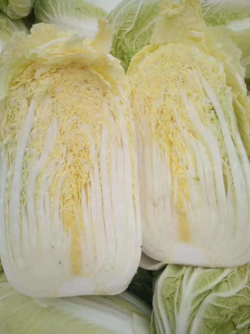 精品娃娃菜，新鲜上市，可视频看货，来电沟通