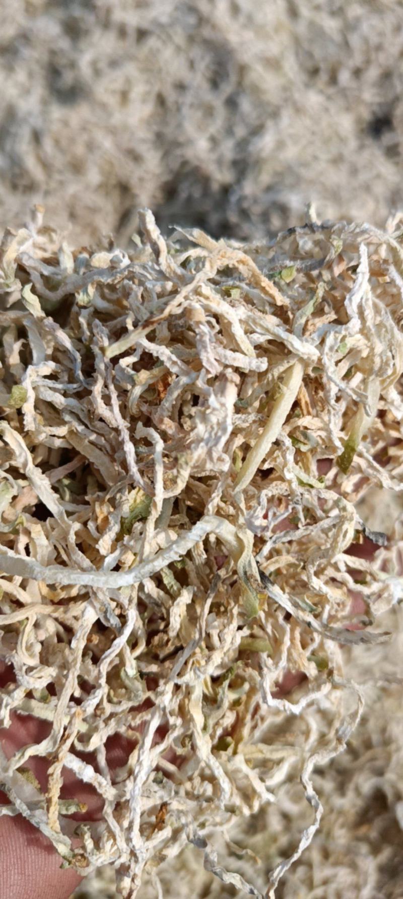 干菜干芥菜丝烘干细丝一斤泡10-13斤量大优惠