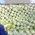 矮颗黄心白菜河南夏邑大白菜翠龙秋晓白菜义和秋白菜