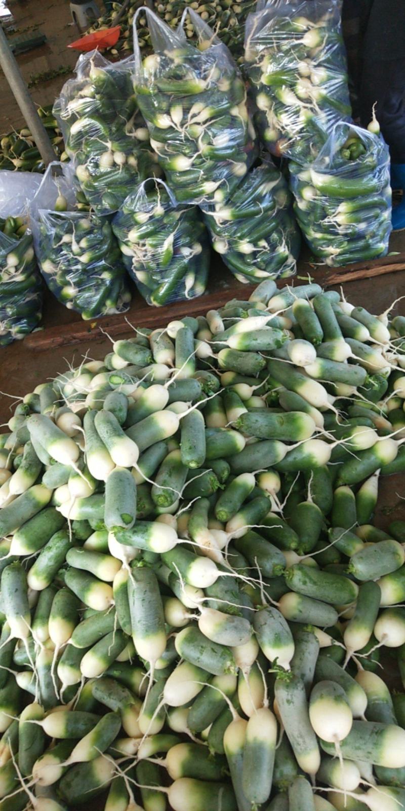 各种蔬菜，需要的请与我联系